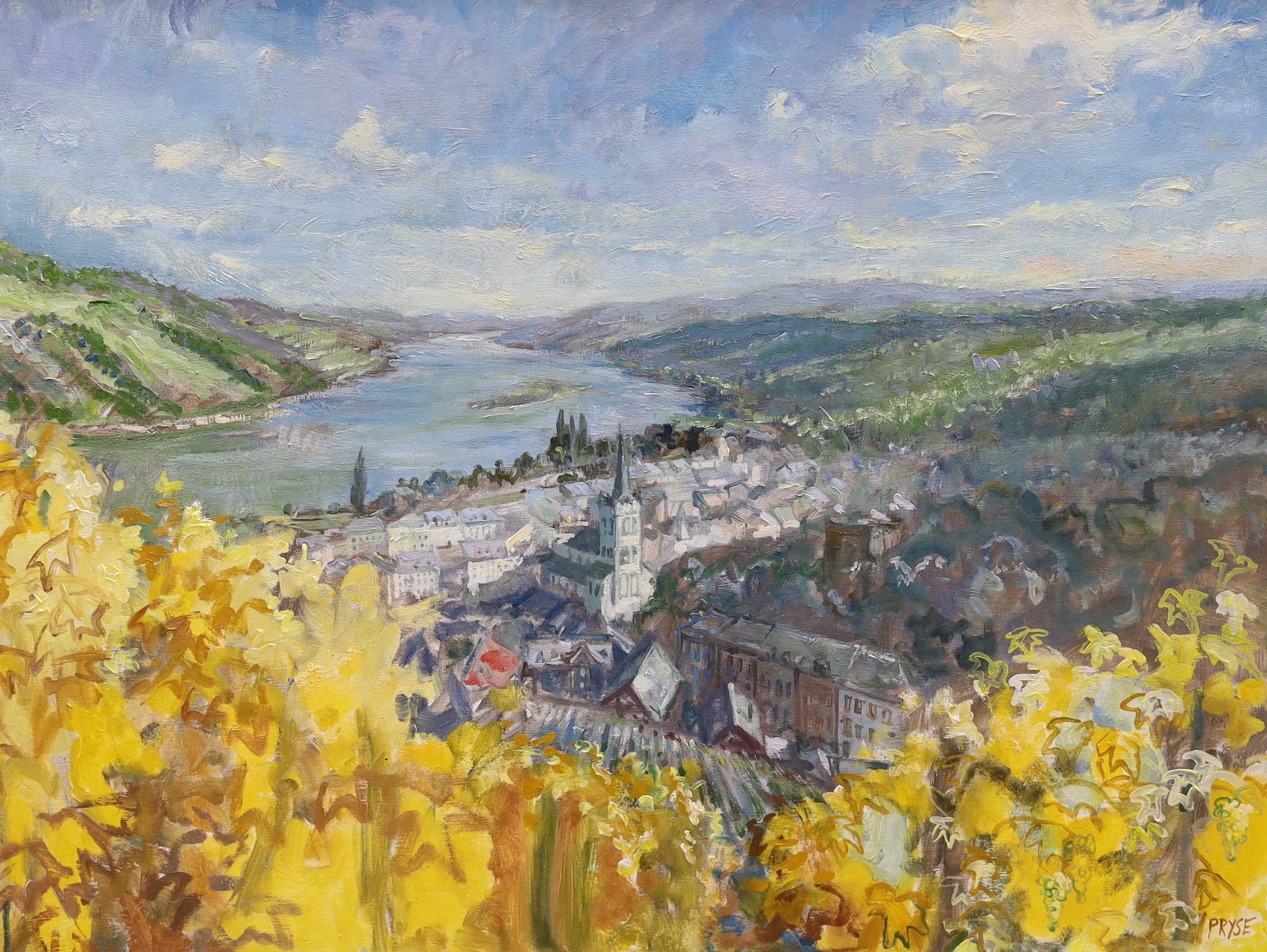 Tessa Spencer Pryse (b.1940), oil on board, 'Vineyards, The Rhine, near Bacharach', signed and inscribed verso, 60 x 80cm